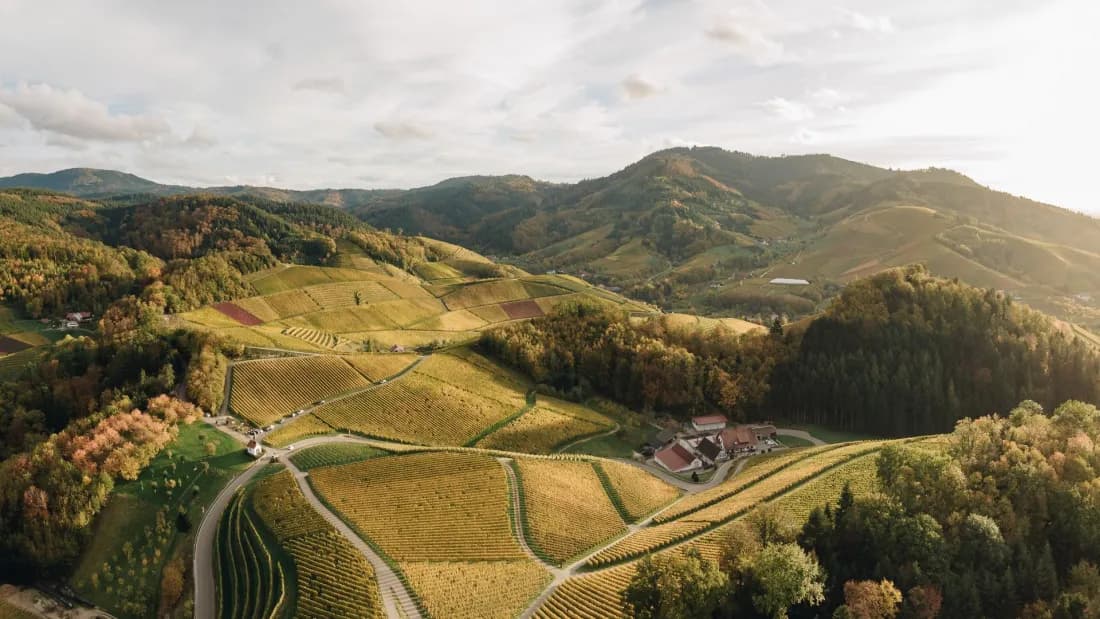 Nationalpark Schwarzwald